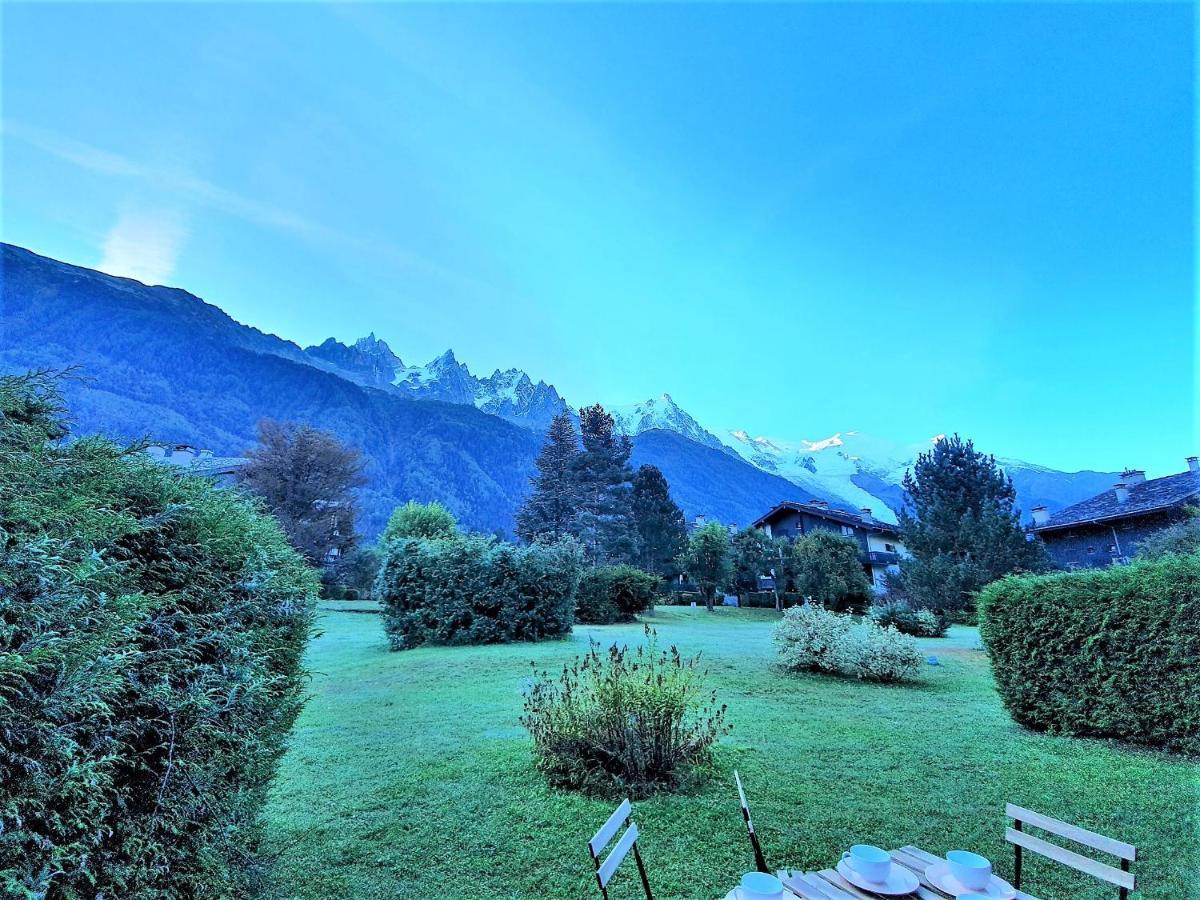 Chamonix Appartement Vue Mont Blanc Avec Jardin Екстер'єр фото