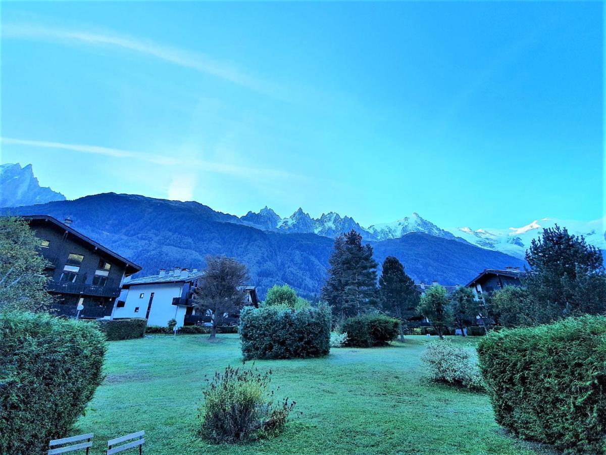 Chamonix Appartement Vue Mont Blanc Avec Jardin Екстер'єр фото