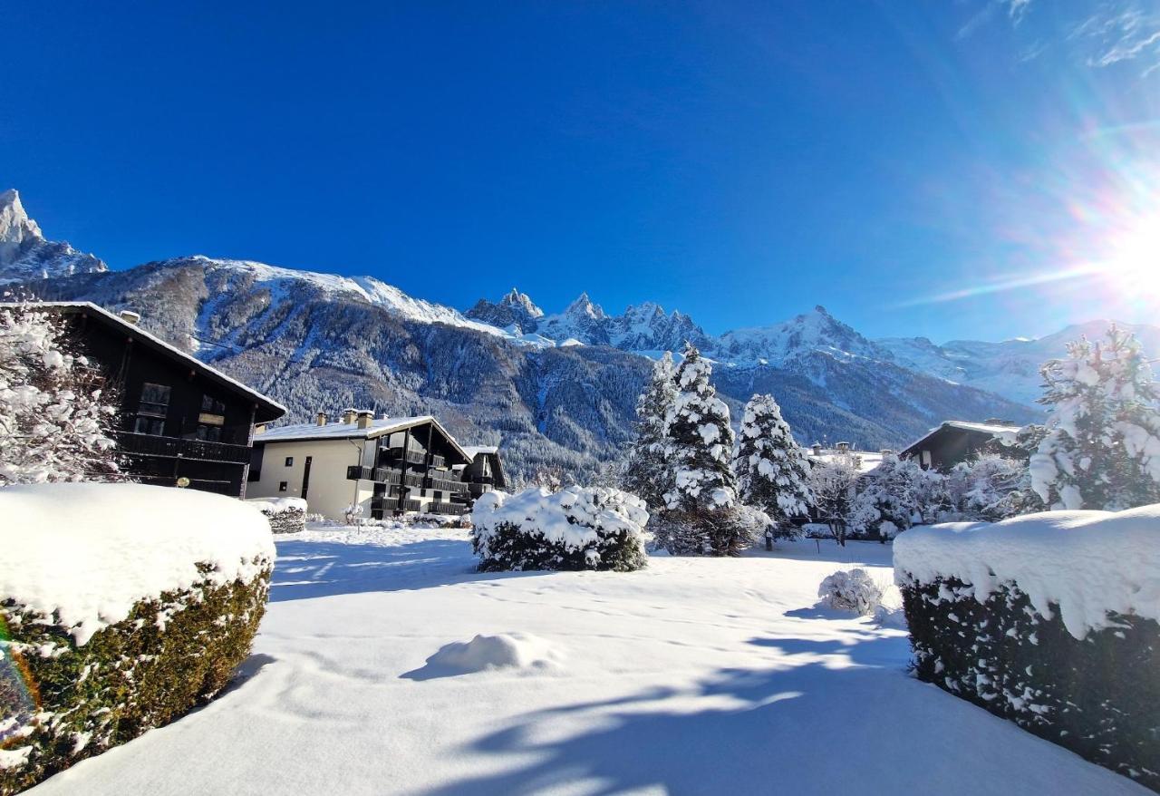Chamonix Appartement Vue Mont Blanc Avec Jardin Екстер'єр фото